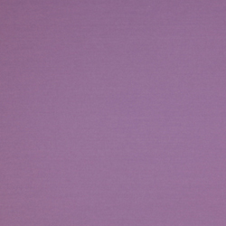Bassica Lavender