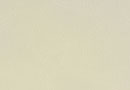 Judith Beige