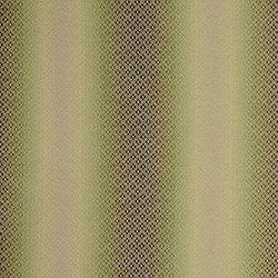 Clarke & Clarke Diamante Olive