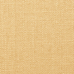 Clarke & Clarke Henley Honey