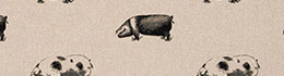 Clarke & Clarke Pigs Noir