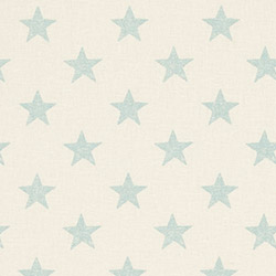Clarke & Clarke Stars Duckegg