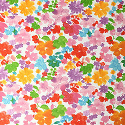 Prestigious Cassandra Geranium