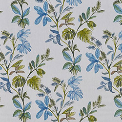 Prestigious Kew Larkspur