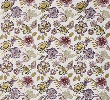 Prestigious Passion Flower Orchid