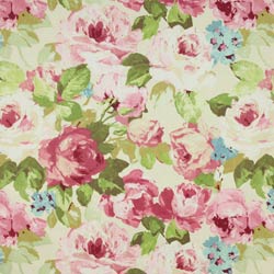 Prestigious Willoughby Rose