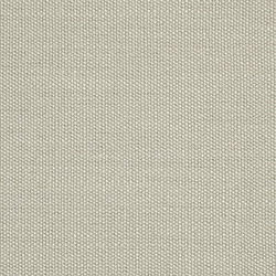 Scion Plains One Hemp