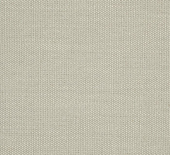 Scion Plains One Hemp