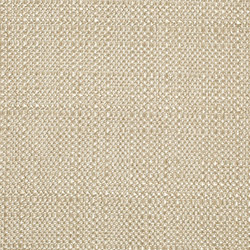 Scion Plains Three Biscuit