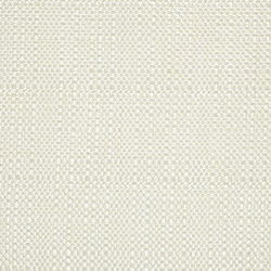 Scion Plains Three Cream