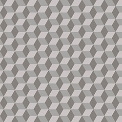 Ternate Illusion