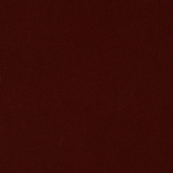 Vision Ruby