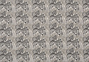 Prestigious Textiles Damara Dusk