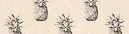 Clarke & Clarke Ananas Noir