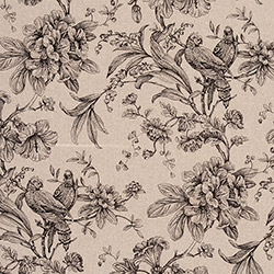 Clarke & Clarke Provence Noir