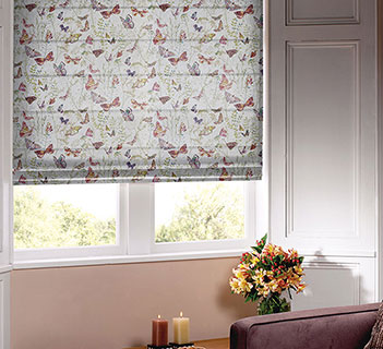 Prestigious Admiral Blossom