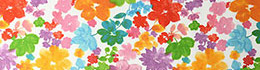Prestigious Cassandra Geranium