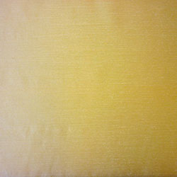 Prestigious Hug Champagne