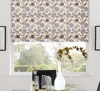 Prestigious Passion Flower Orchid