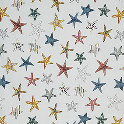 Prestigious Starfish Pebble