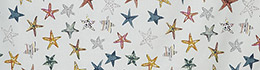 Prestigious Starfish Pebble