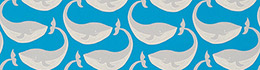 Scion Whale Of A Time Slate/Ocean