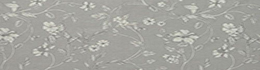 Iliv Etched Vine Feather