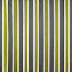 Prestigious Textiles Churchill Pistachio