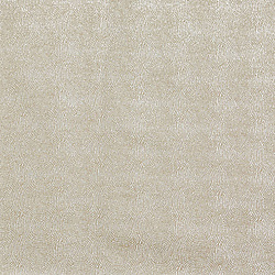Prestigious Textiles Endless Satinwood