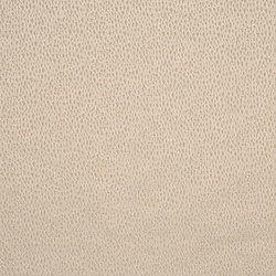 Prestigious Textiles Facade Putty