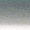 Pearlized Silver