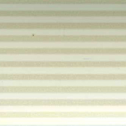 Vector Cornsilk