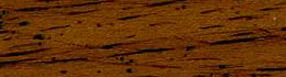 Distressed Palm